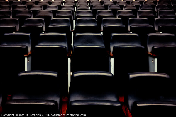 Rows of empty seats and seats in an auditorium. Picture Board by Joaquin Corbalan