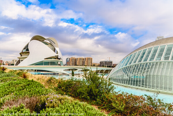 Complex of the city of arts and sciences of Valencia, spain, one of the most visited buildings in Valencia by tourists. Picture Board by Joaquin Corbalan