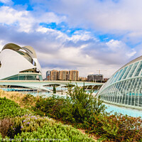 Buy canvas prints of Complex of the city of arts and sciences of Valencia, spain, one of the most visited buildings in Valencia by tourists. by Joaquin Corbalan