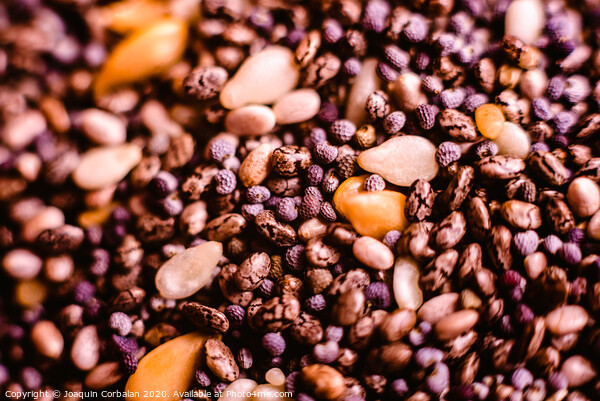 closeup Small seeds superfoods, chia, golden flax and sesame Picture Board by Joaquin Corbalan