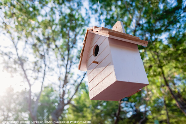 Wooden house for little birds hanging on a tree in a garden. Picture Board by Joaquin Corbalan