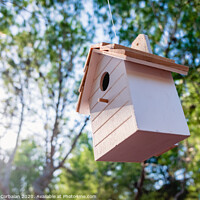 Buy canvas prints of Wooden house for little birds hanging on a tree in a garden. by Joaquin Corbalan