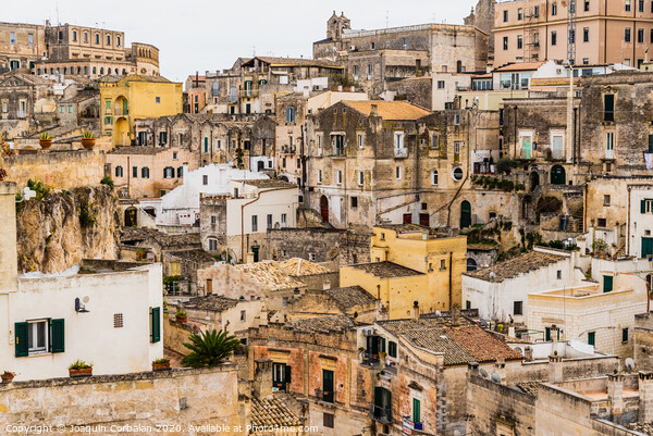 Long panoramic views of the rocky old town of Matera with its stone roofs. Picture Board by Joaquin Corbalan