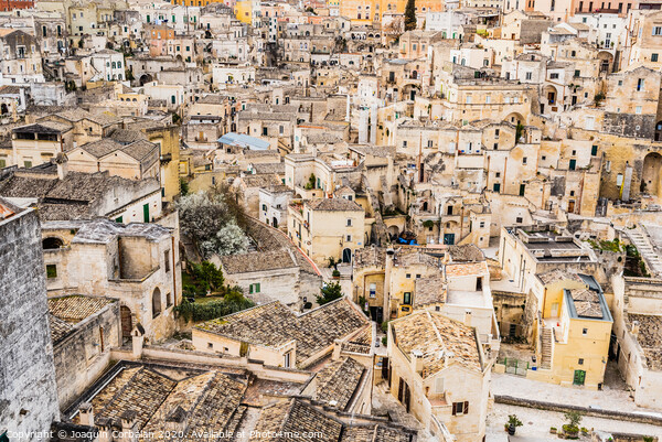 Panoramas of the ancient medieval city of Matera, in Italy. Picture Board by Joaquin Corbalan