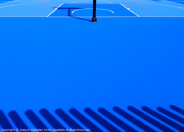 Floor background of an intense blue sports field with white lines. Picture Board by Joaquin Corbalan