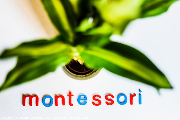 Montessori word written with colorful letters on white background. Picture Board by Joaquin Corbalan