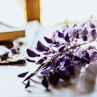 Buy canvas prints of Beautiful blue and lilac spring flowers on a white table with fabrics. by Joaquin Corbalan