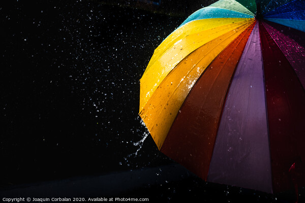 Rain on a warm-toned umbrella lit by the sun, isolated on black background with copy space. Picture Board by Joaquin Corbalan