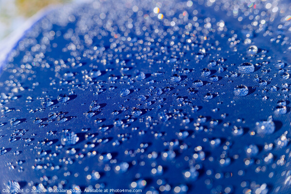 Detail of water drops on a plastic fabric colored in the sun. Picture Board by Joaquin Corbalan