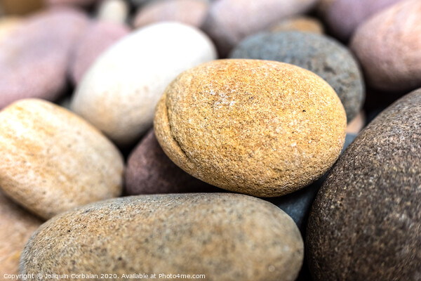 Natural background composed of pebbles and small rocks. Picture Board by Joaquin Corbalan
