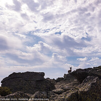 Buy canvas prints of Goat silhouette, ibex pyrenaica, on top of a rocky cliff. by Joaquin Corbalan