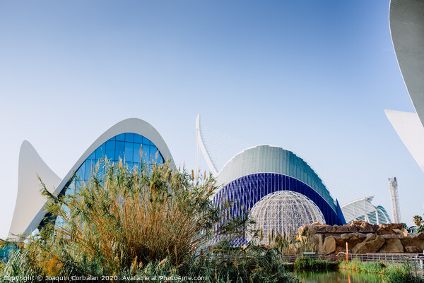 Exterior view of the oceanografic aquarium with the city in the background. Picture Board by Joaquin Corbalan