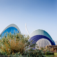 Buy canvas prints of Exterior view of the oceanografic aquarium with the city in the background. by Joaquin Corbalan