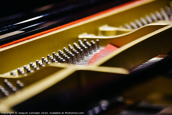 Detail of the interior of a piano with the soundboard, strings and pins. Picture Board by Joaquin Corbalan
