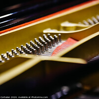 Buy canvas prints of Detail of the interior of a piano with the soundboard, strings and pins. by Joaquin Corbalan