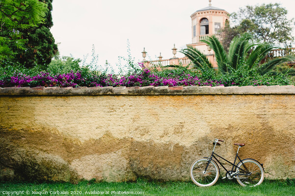 Wall or concrete wall outdoors with plants around and old bike supported and free space to place text in an empty frame Picture Board by Joaquin Corbalan