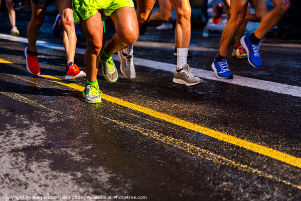 Muscled legs of a group of several runners training running on asphalt Picture Board by Joaquin Corbalan