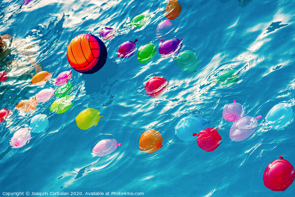 Group of many colorful plastic water balloons floating in the water of a pool to entertain their children on summer vacations. Picture Board by Joaquin Corbalan