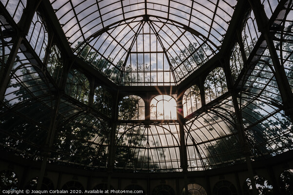 Interior of the Crystal Palace in Madrid, a must for tourists. Picture Board by Joaquin Corbalan