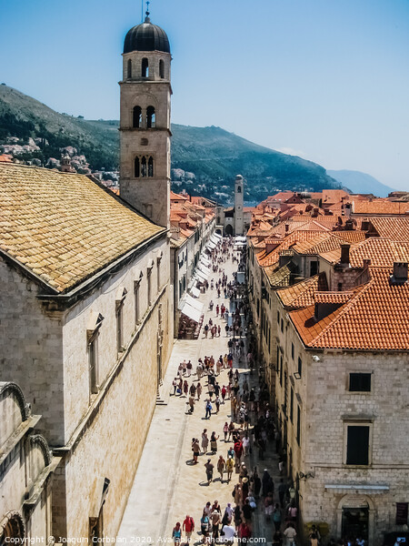  Stradun Main Street, paved, main tourist artery of the medieval city. Picture Board by Joaquin Corbalan