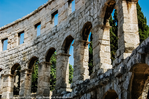 Roman amphitheater in Pula, the best preserved ancient monument in Croatia, visited by hundreds of tourists. Picture Board by Joaquin Corbalan