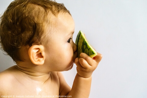 Baby in profile eating a watermelon drooling and getting dirty with the sticky juice of the fruit. Picture Board by Joaquin Corbalan