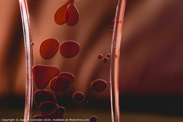 Red drops similar to blood falling in water. Picture Board by Joaquin Corbalan