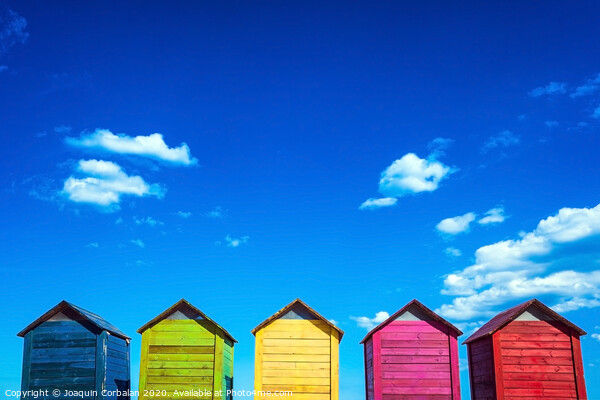 Colorful wooden changing huts on a beach, with nice background of clear blue sky on the coast. Picture Board by Joaquin Corbalan