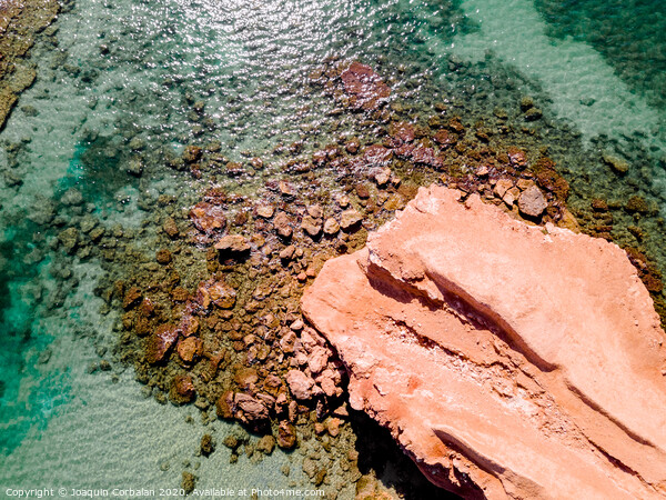 Aerial view of a natural rock jetty on the Mediterranean coast with transparent turquoise waters. Picture Board by Joaquin Corbalan