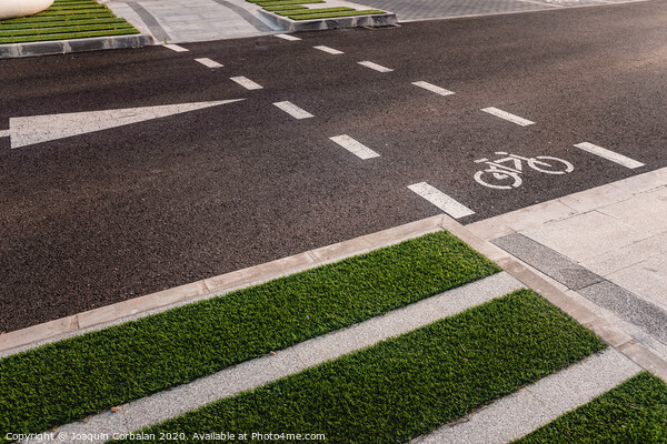 Design of new integrated bike lanes in a pedestrian friendly environment Picture Board by Joaquin Corbalan