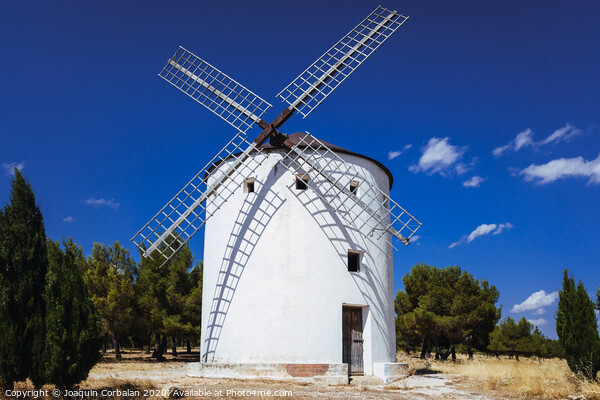Traditional windmill of La Mancha, in Spain, protagonist of the famous novel Don Quixote. Picture Board by Joaquin Corbalan
