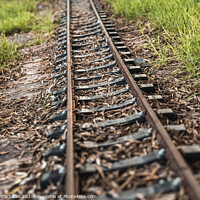 Buy canvas prints of Old miniature train tracks at sunset. by Joaquin Corbalan