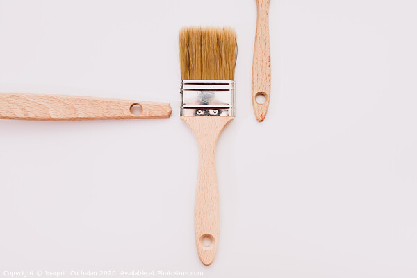 Simple background with new wooden paintbrushes isolated on white studio background. Picture Board by Joaquin Corbalan