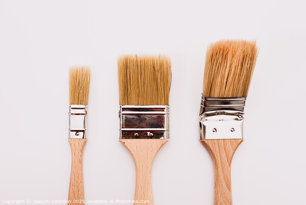 Three new painter brushes of various sizes isolated on white background. Picture Board by Joaquin Corbalan