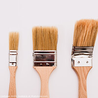 Buy canvas prints of Three new painter brushes of various sizes isolated on white background. by Joaquin Corbalan