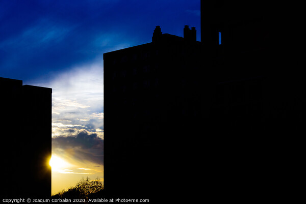Sunset silhouette in a city with the warm sun behind buildings. Picture Board by Joaquin Corbalan