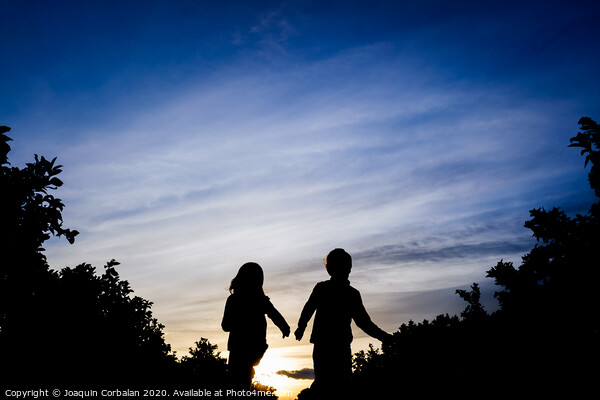 Silhouette of two children running through the field on a winter sunset. Picture Board by Joaquin Corbalan