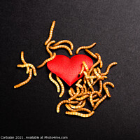 Buy canvas prints of Heart broken background for valentine, rotten by worms metaphor. by Joaquin Corbalan