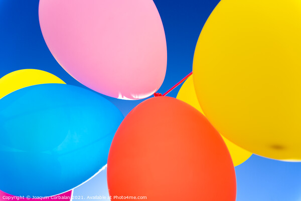 Colorful balloons inflated against the sun, festive and joyful colorful background. Picture Board by Joaquin Corbalan