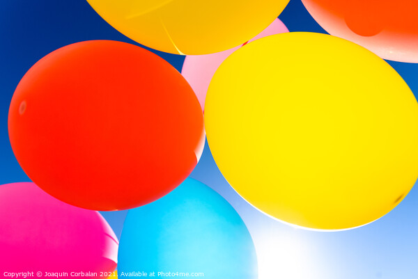 Pretty sunlit solid color balloons viewed from below with blue s Picture Board by Joaquin Corbalan
