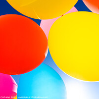 Buy canvas prints of Pretty sunlit solid color balloons viewed from below with blue s by Joaquin Corbalan