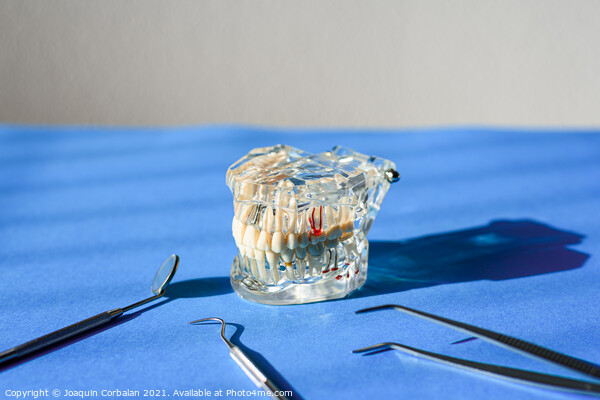 Dental tools for healing dentures, jaw isolated on a dentist doc Picture Board by Joaquin Corbalan
