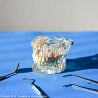 Buy canvas prints of Dental tools for healing dentures, jaw isolated on a dentist doc by Joaquin Corbalan