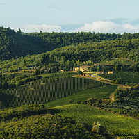Buy canvas prints of Vineyard near Volpaia town in Chianti region by eyecon 