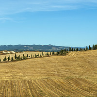 Buy canvas prints of Typical landscapes for Siena Province in Tuscany,  by eyecon 