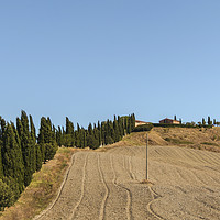 Buy canvas prints of Typical landscapes for Siena Province in Tuscany,  by eyecon 