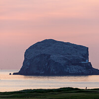 Buy canvas prints of Bass Rock at Sunrise by Richard Newton