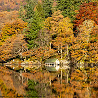 Buy canvas prints of Autumn Colours reflected on Loch Ard in The Trossachs National Park, Scotland by Richard Newton