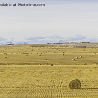 Buy canvas prints of Bales of Hay panorama  by Osarieme Eweka