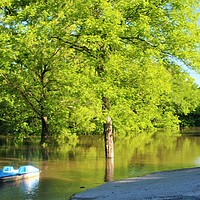 Buy canvas prints of The flooding at Ft Gibson Lake has begun. by Kathleen Wells - Stalla